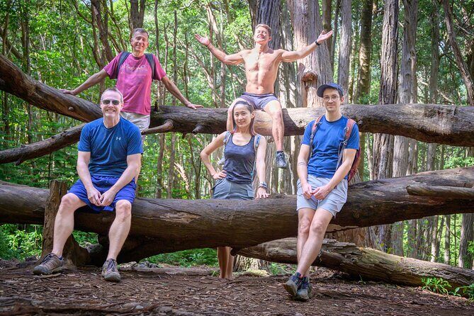 Oahu Waterfall Hike-Garden-Beach Road Trip, Waikiki to Lanikai - FAQ