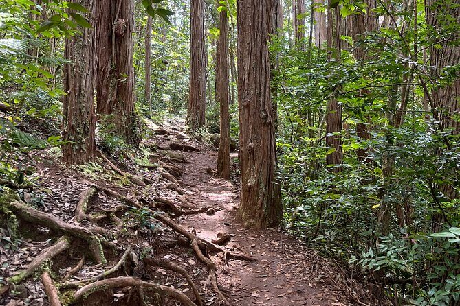 Oahu Waterfall Hike-Garden-Beach Road Trip, Waikiki to Lanikai - Final Takeaway