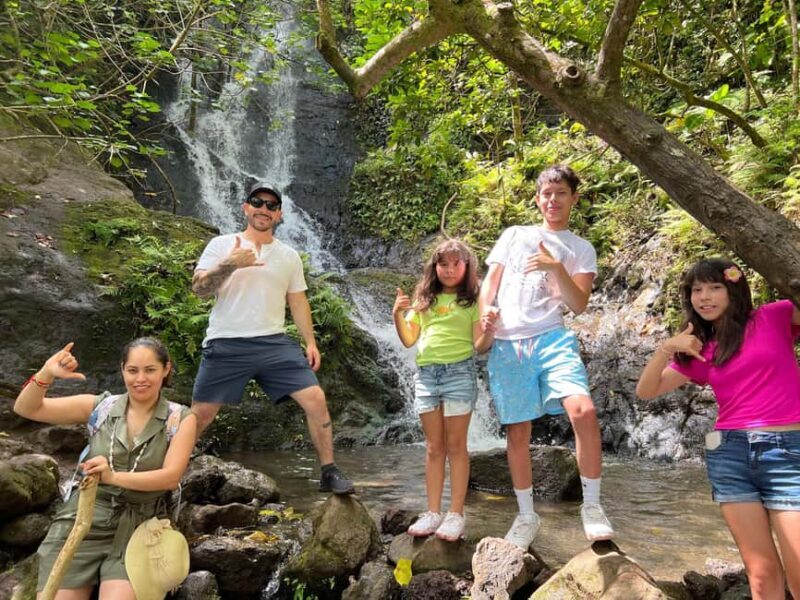 Oahu: Waterfall Hike via Scenic South Shore Drive - Good To Know