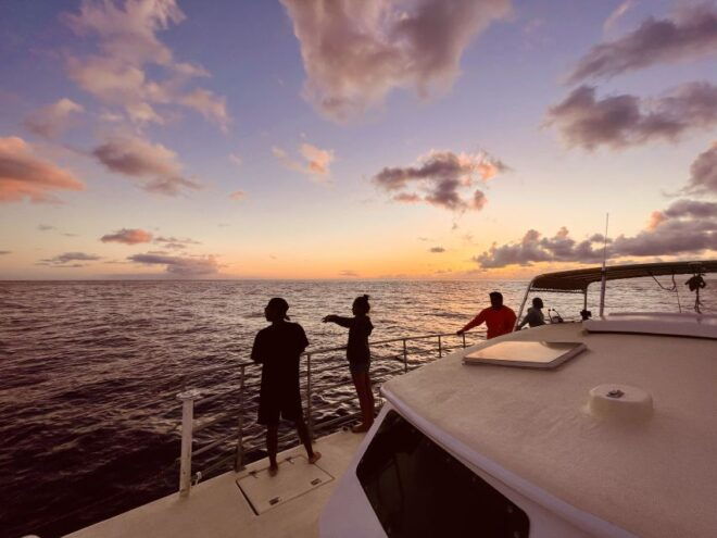 O'ahu West Coast Whale Watching and Sunset Cruise - Highlights