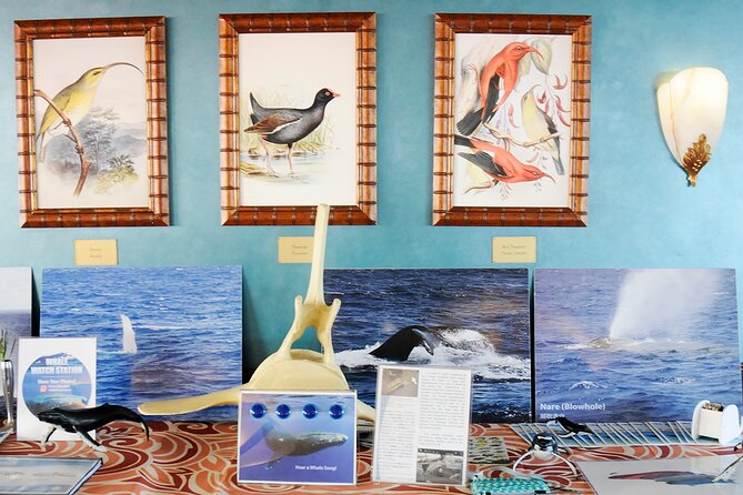 Oahu Whale-Watching Cruise With Breakfast or Lunch Option - The Sum Up