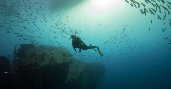 Oahu: Wreck & Reef Scuba Dive for Certified Divers - Reef Diving