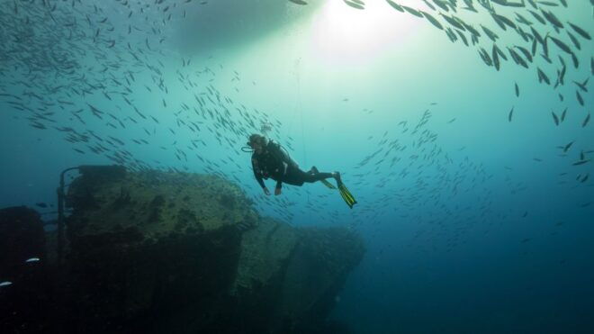 Oahu: Wreck & Reef Scuba Dive for Certified Divers - Explore and Book Similar Activities