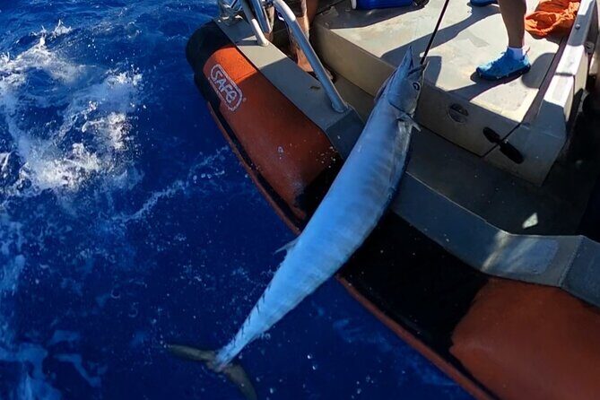 Oahu's Unique Whale Watching and Fishing Charter - Introduction