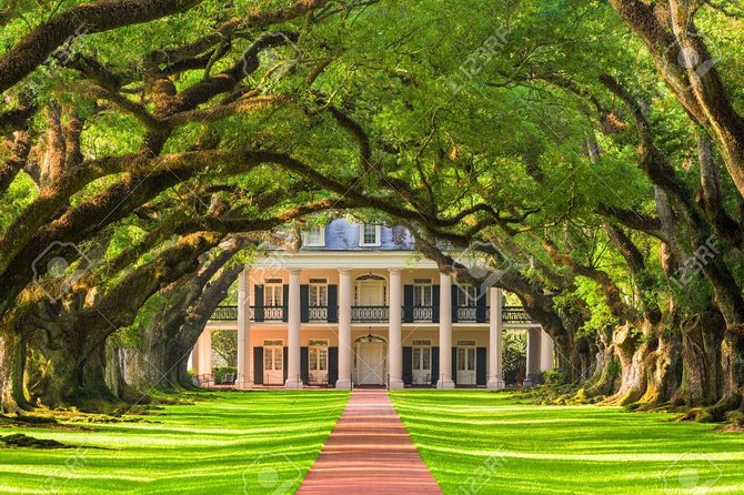 Oak Alley Plantation & Airboat Tours - Reviews