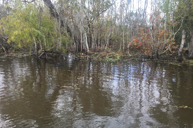 Oak Alley Plantation & Airboat Tours - Common Questions