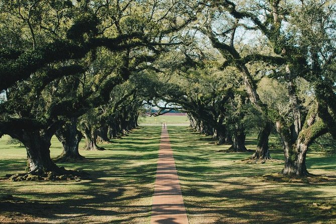 Oak Alley Plantation and Small Airboat Tour From New Orleans - The Sum Up