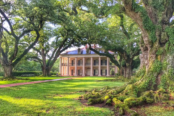 Oak Alley Plantation Tour With Transportation From New Orleans - Tour Highlights