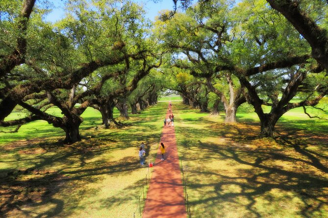 Oak Alley Plantation Tour With Transportation From New Orleans - Transportation and Commentary