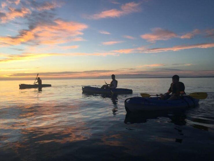 Oak Bluffs: Deliveries - Delivery Details