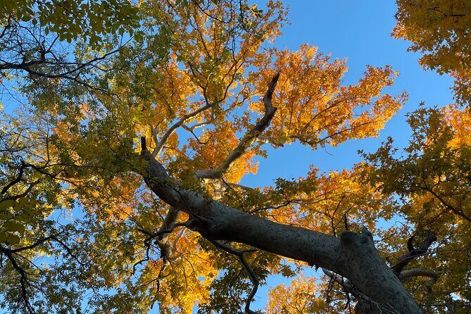 Oak Creek Canyon, with Native American history and Chapel too! - Value & Practical Insights