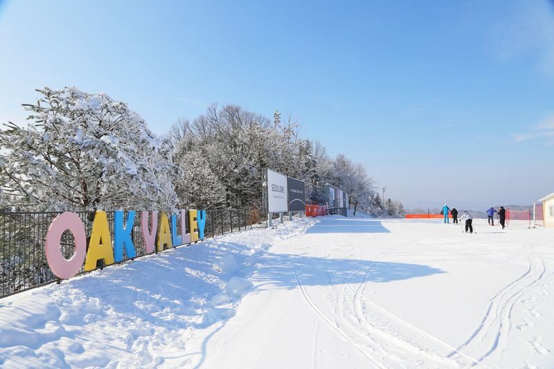Oak Valley Ski/Snowboard/CookieRun/Stone Creek Ice Wall Day Tour - The Seoul pickup and Stone Creek stop
