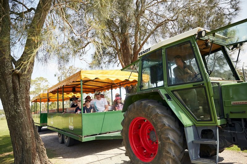 Oakvale Wildlife Park Ticket - Splash Bay and play breaks for children
