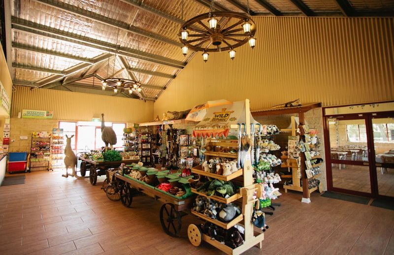 Oakvale Wildlife Park Ticket - Getting to Salt Ash and planning your visit