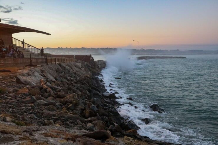 Oamaru: Blue Penguin Colony Evening Viewing Ticket - Booking Details