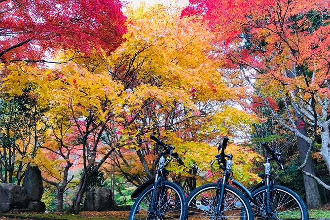 Oasa Country Cycling (Free BUS RIDE From Hiroshima With JR Pass) - Meeting and Pickup Details