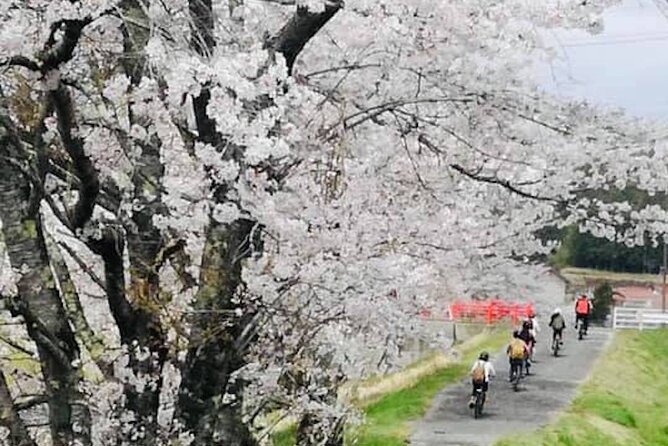 Oasa Country Cycling (Free BUS RIDE From Hiroshima With JR Pass) - Free Bus Ride From Hiroshima With JR Pass