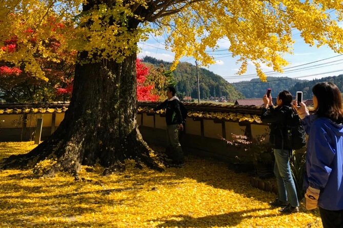 Oasa Country Cycling (Free BUS RIDE From Hiroshima With JR Pass) - Cancellation Policy and Refund Details