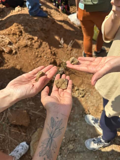 Oaxaca: Artisan Clay Pottery Workshop w/Breakfast and Brunch - Discovering Oaxaca’s Art of Clay: A Hands-On Pottery Workshop with Breakfast and Brunch