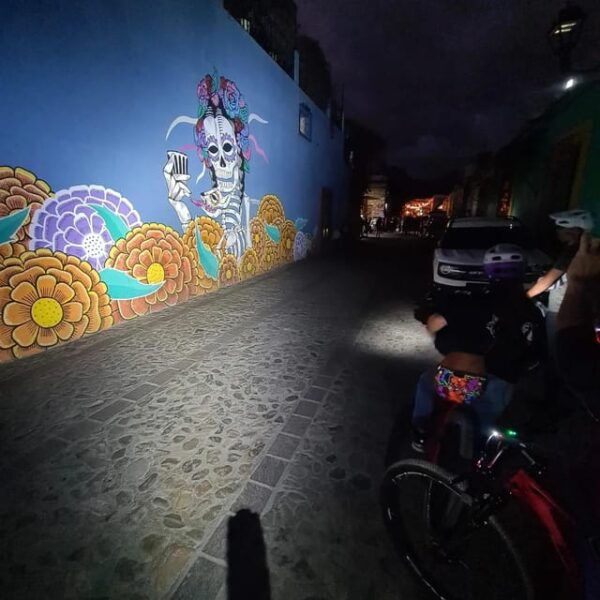 Oaxaca City Bike Tour- Culture, History & Traditions - Pricing and Booking
