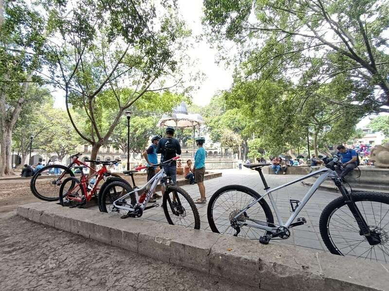 Oaxaca City: Bike Tour with Professional Guide+Art workshop - Why We Love This Bike Tour in Oaxaca