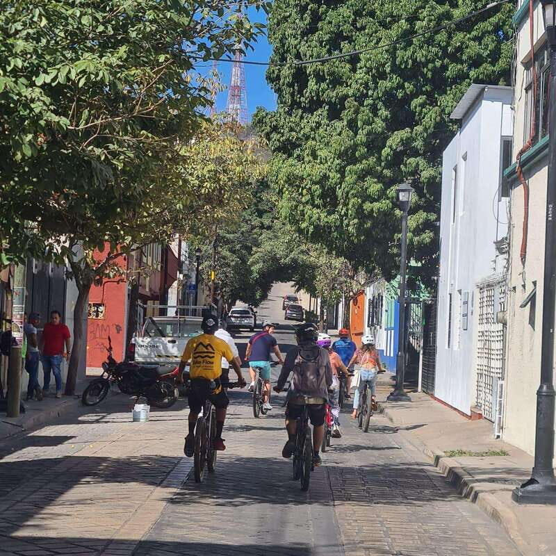 Oaxaca City: Bike Tour with Professional Guide+Art workshop - Authentic Insights from Reviews