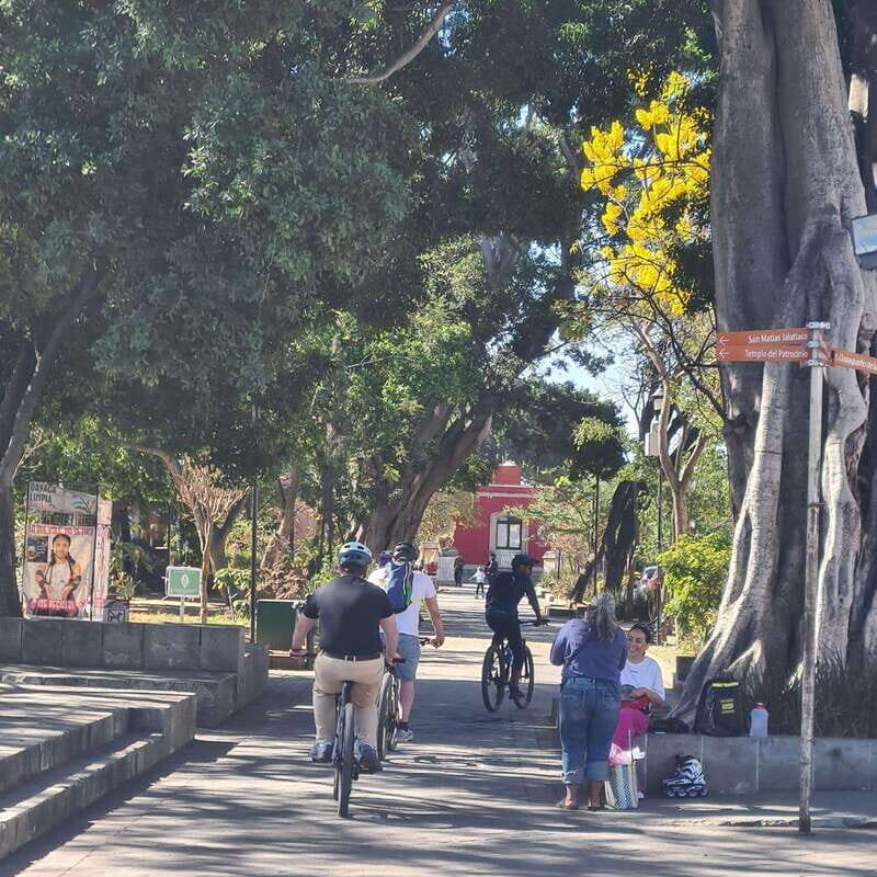 Oaxaca City: Bike Tour with Professional Guide+Art workshop - FAQ