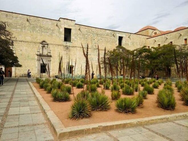 Oaxaca: City Tour - Zócalo / Garden of the Constitution