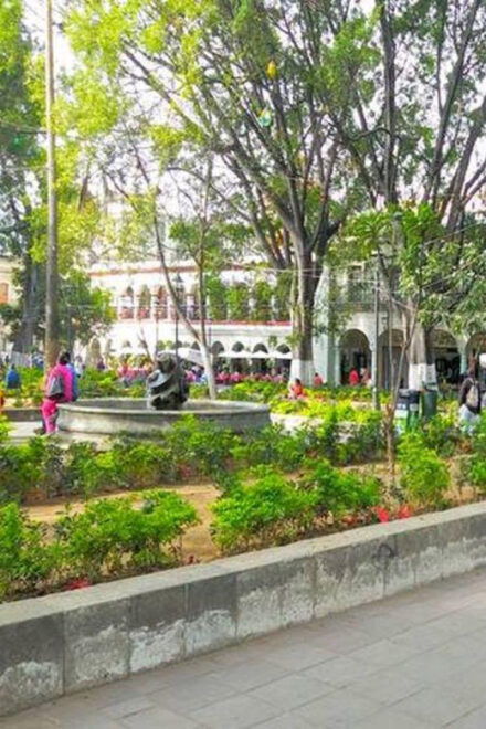 Oaxaca: City Tour - Tourist Walkway