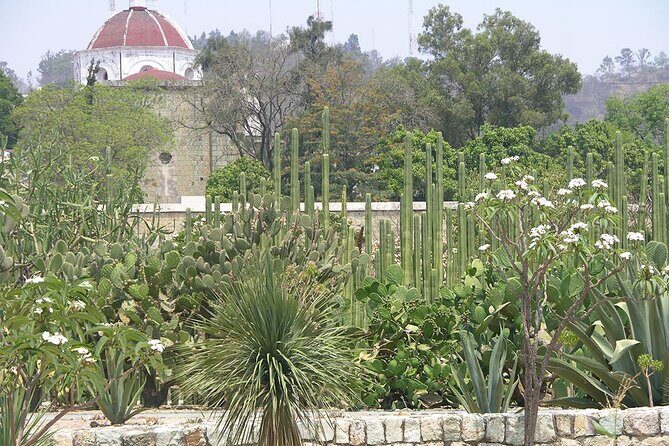 Oaxaca City tour - Santo Domingo museum & the colorful market - Transportation and Comfort