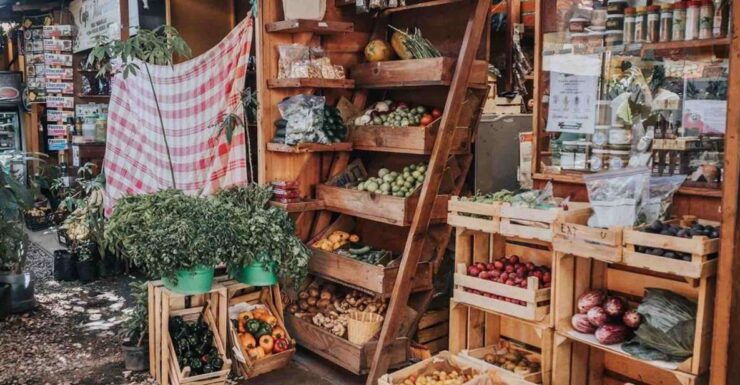 Oaxaca: City Walk and Botanical Garden Tour - Tour Duration and Guide Availability