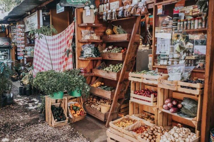 Oaxaca: City Walk and Botanical Garden Tour - Group Tour Requirements and Cancellation Policy