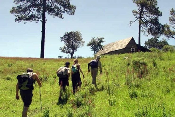 Oaxaca: Communal Towns Hiking Tour - Pricing and Booking