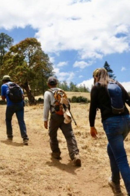 Oaxaca: Communal Towns Hiking Tour - Exploring Local Culture