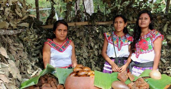 Oaxaca: Crafts & Cuisine Culture Tour - Oaxacas Renowned Crafts