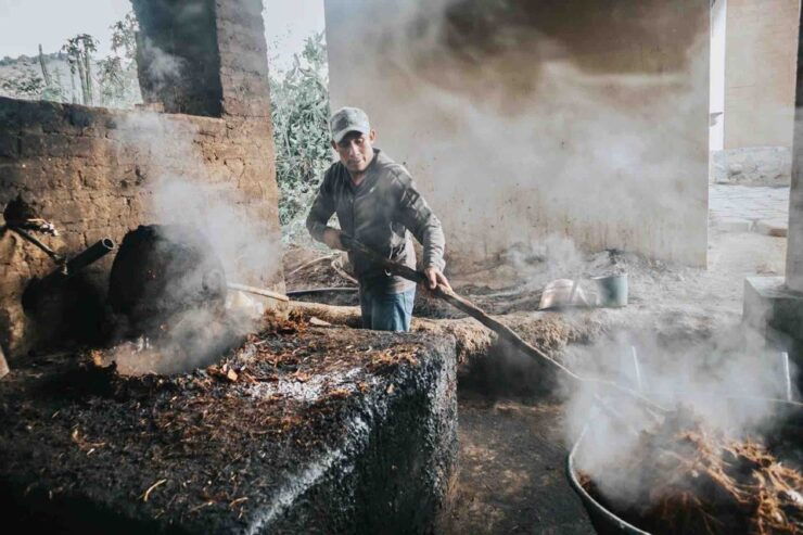 Oaxaca: Crafts & Cuisine Culture Tour - Visits and Culinary Experience Included