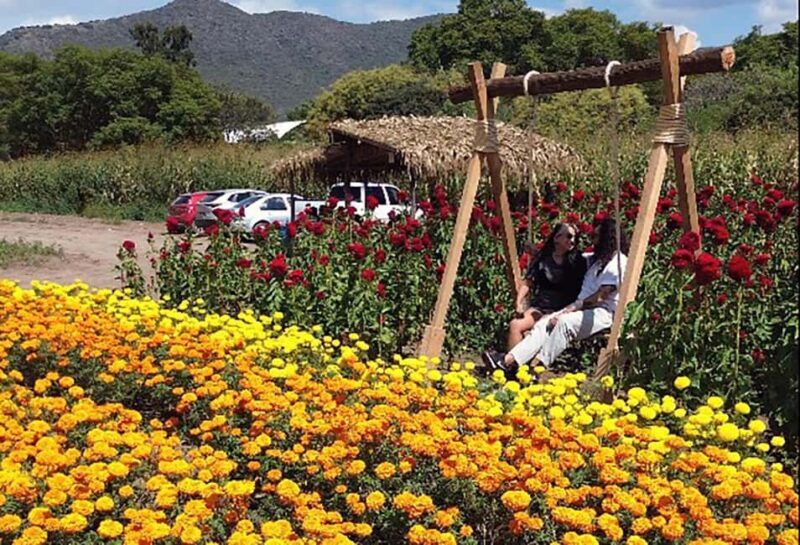 Oaxaca: Day of the Dead Altar Workshop with Meal - FAQ