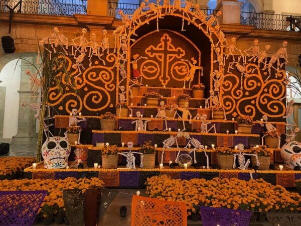 Oaxaca: Day of the Dead Evening Walking Tour With Dinner - Customer Ratings and Feedback