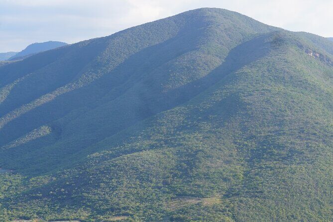 Oaxaca Day Trip Markets Hierve el Agua and Mezcal Tasting - The Wondrous Tree in Santa Maria Tule