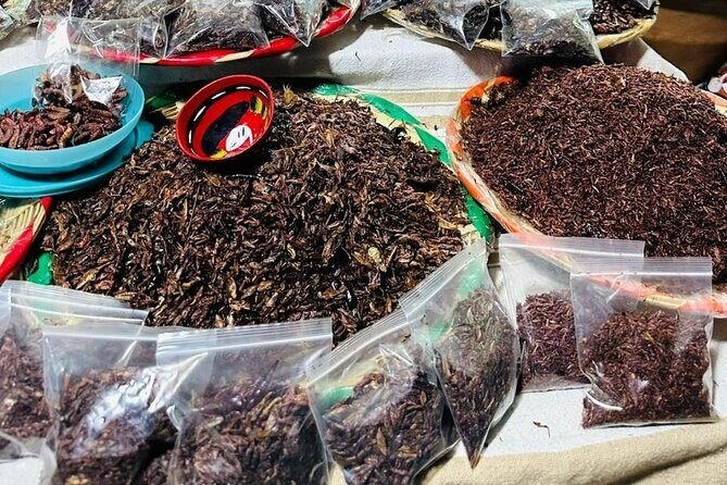 Oaxaca Day Trip Markets Hierve el Agua and Mezcal Tasting - Unique Insights from Past Travelers