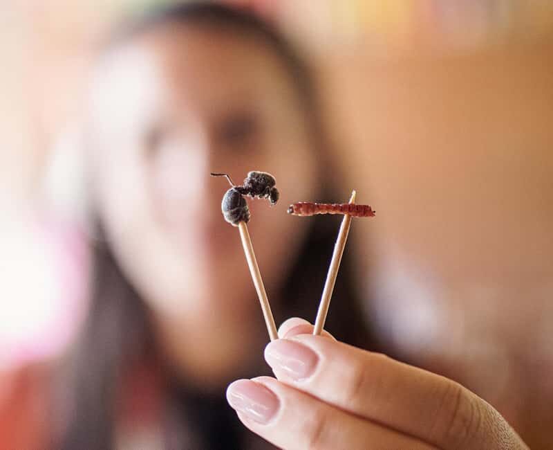 Oaxaca de Juarez: Traditional Oaxacan Cooking Class - Who Should Book This Tour?