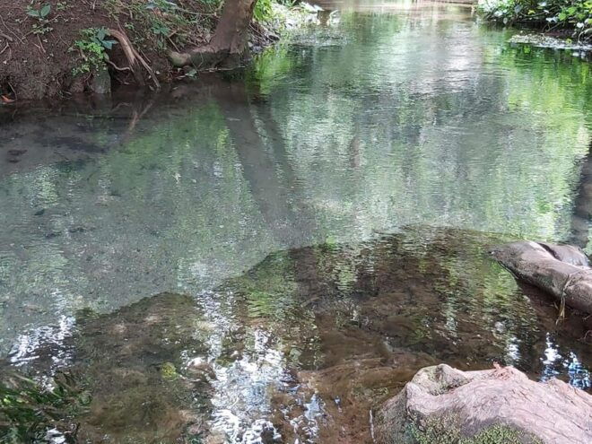 Oaxaca: Ejutla Canyon 1 Day Bike Tour - Important Information