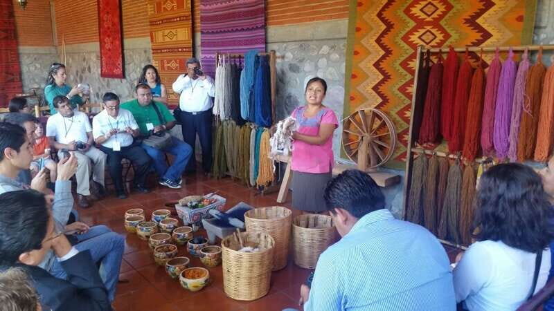 Oaxaca: El Tule, Mitla, and Hierve el Agua Tour with Mezcal - The Complete Experience: What to Expect