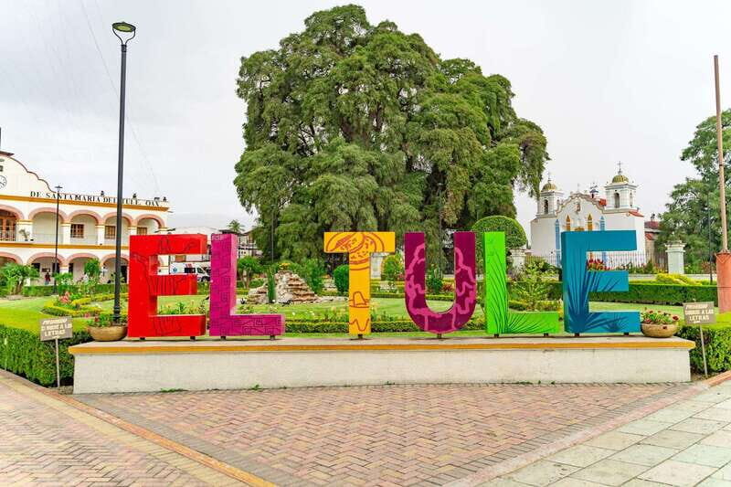 Oaxaca: El Tule tree, Teotitlan Village & Mezcal Tour - The Sum Up