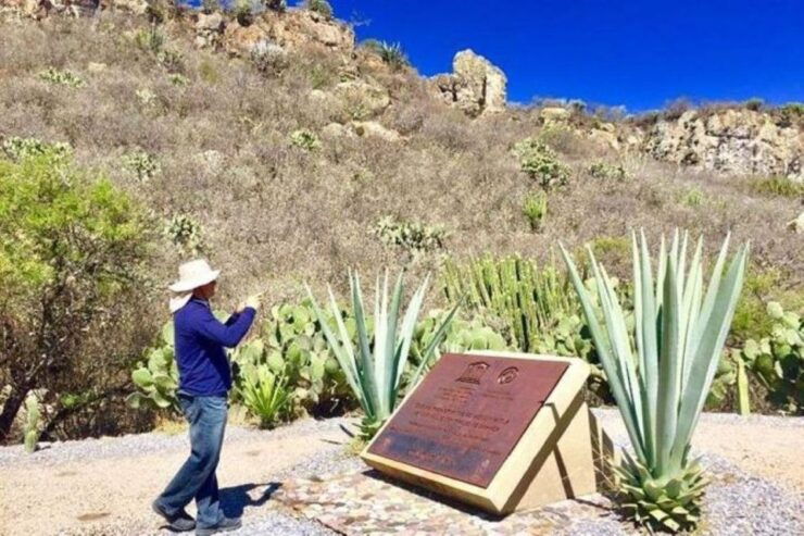 Oaxaca: Exclusive Private Yagul UNESCO Heritage Site Tour - Full Description