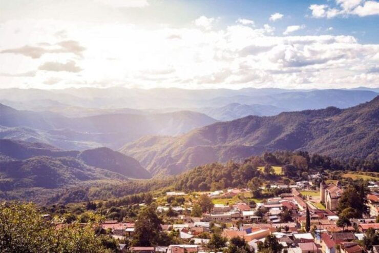 Oaxaca: Forest and Nature Walking Experience - Activity Details