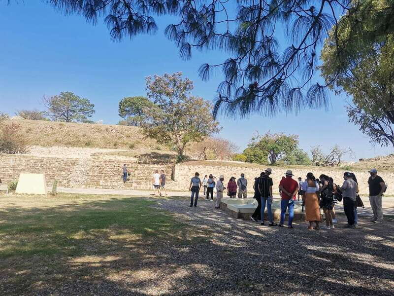 Oaxaca: Full Day Guided Tour on the Monte Alban Route - An In-Depth Look at the Tour