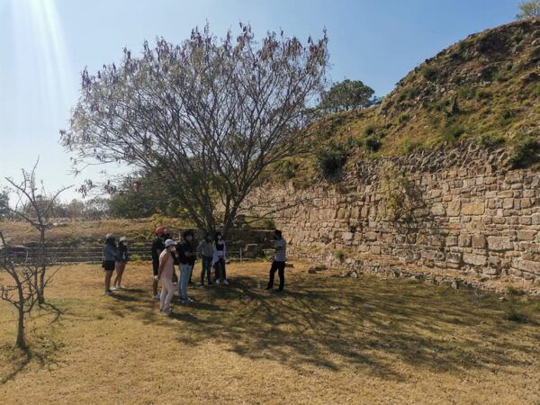 Oaxaca: Full Day Guided Tour on the Monte Alban Route - San Martín Tilcajete