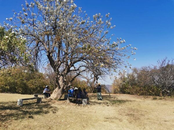 Oaxaca: Full Day Guided Tour on the Monte Alban Route - Frequently Asked Questions