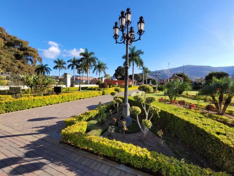 Oaxaca: Guided Bike Tour to the Largest Tree in the World - Santa Maria del Tule: The Star Attraction